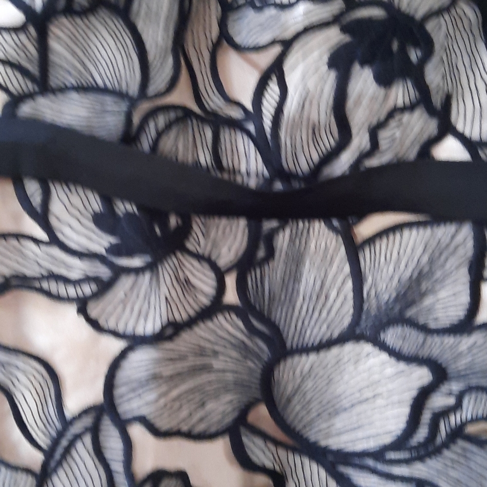 JS Collections Souctach Lace Midi Dress - Picture 6 of 10